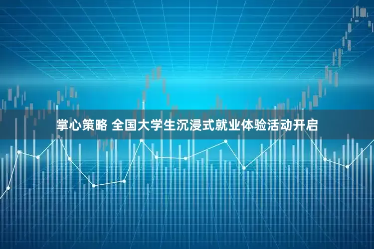 掌心策略 全国大学生沉浸式就业体验活动开启