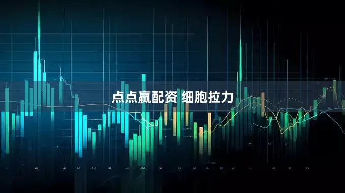 点点赢配资 细胞拉力