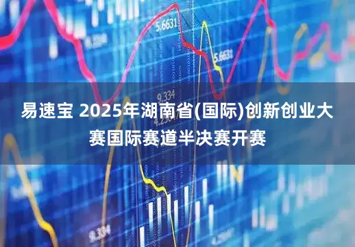 易速宝 2025年湖南省(国际)创新创业大赛国际赛道半决赛开赛